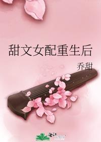 甜文女配穿