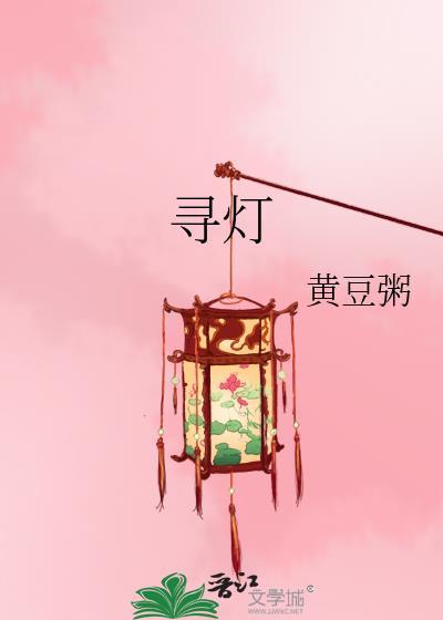 寻灯笔趣阁在线阅读