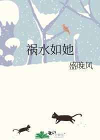 祸水无防盗