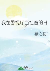 我在电影当警察