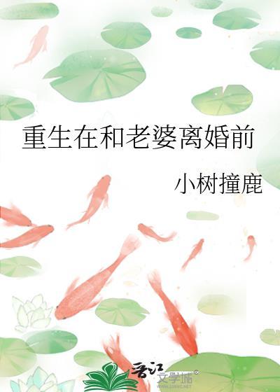 重生在和老婆离婚前百度