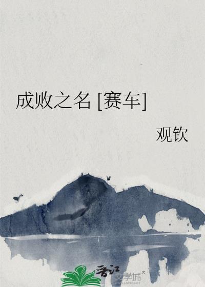 成败之数的数是什么意思