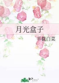 解读月光宝盒