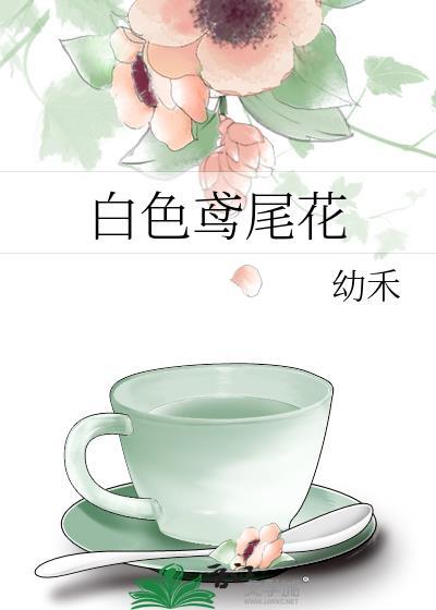 白色鸢尾花的花语