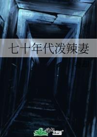 穿成70年代泼辣女