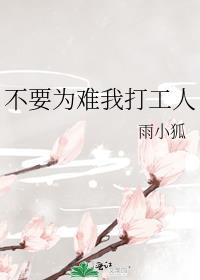 清穿之康熙家的小宠妃书包
