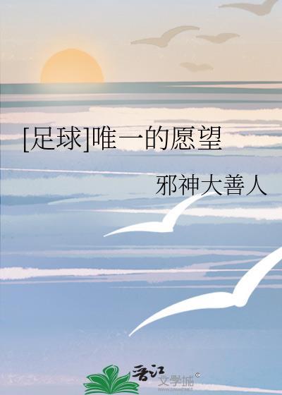 唯一的愿望是什么意思