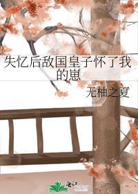 失忆后敌国皇子怀了我的崽笔趣阁