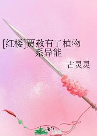 红楼之贾赦会国术