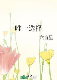 唯一选择英语
