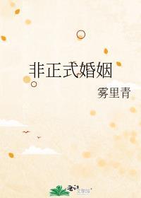 非正式婚姻by雾里青笔趣阁