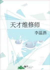 天才维修师TXT宝书网