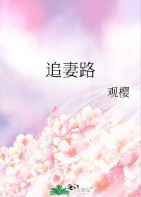 冷面军官的追妻路