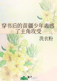 穿书后的苗疆少年蛊惑了主角攻受 梦畅文学