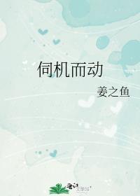 伺机而动关青禾免费阅读