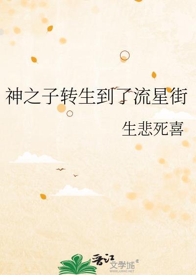 神之子转生到了流星街txt