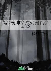 高冷统帅穿成柔弱真少爷后免费