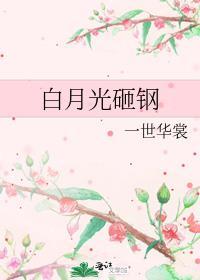 白月光砸钢第几章掉马