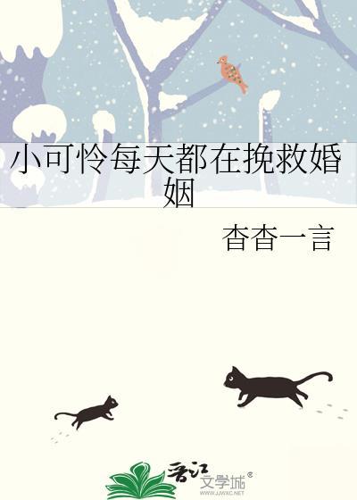 小可怜每天都在挽救婚姻免费阅读