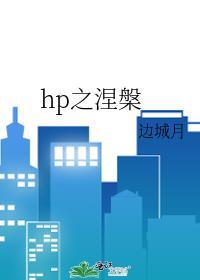 HP之涅槃之灰