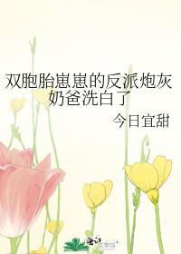 双胞胎宠娃漫画