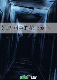 她是F4中的花心萝卜 作者甜甜酱