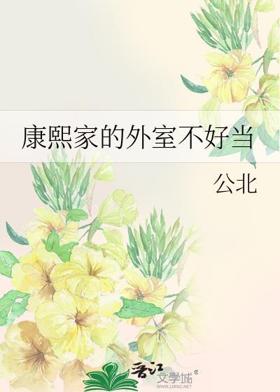 清穿康熙的外室 义楚