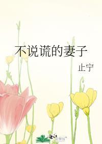 不说谎的妻子_止宁书评