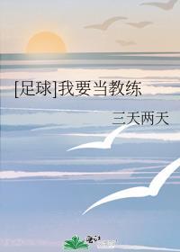 足球我要当教练