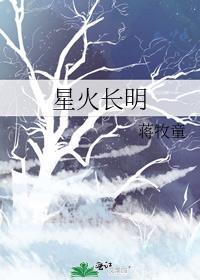 星火长明讲的什么
