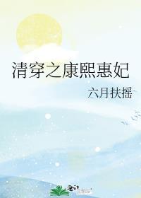 清穿之康熙惠妃沉