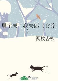 我成了男主的宠妾晋江
