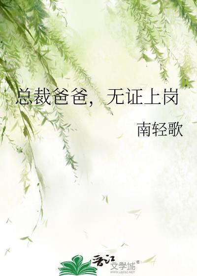 总裁爸爸无证上岗全文免费阅读最新章节