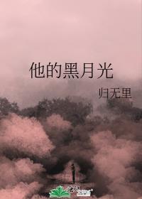 他的黑月光归无理