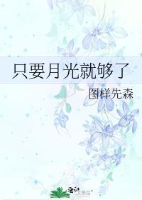 只要月光就够了笔趣阁无弹窗