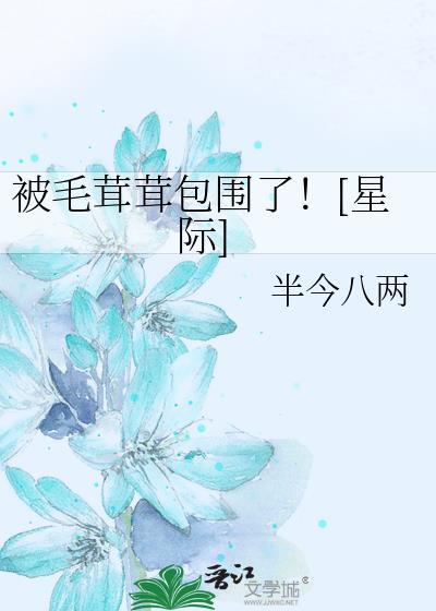 毛茸茸的被套叫什么