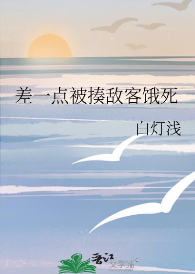 新时代土地婆玄学全文阅读