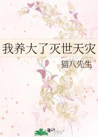 直播榜一都是什么人