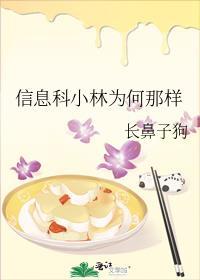 信息科小林为何那样TXT