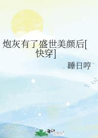 炮灰有盛世美颜破解版