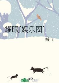 耀眼讲的什么故事