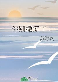 你别撒谎了全文免费阅读