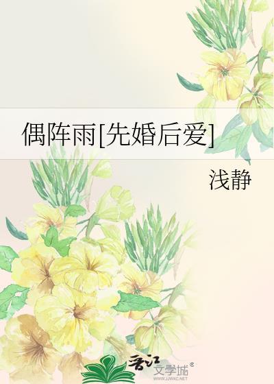 偶阵雨歌词意思