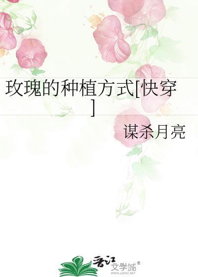 玫瑰是怎么种植的?