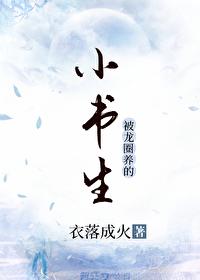 小书生by衣落成火