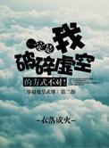 一定是我破碎虚空的方式不对衣落成火