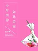 少年的你如此美丽番外篇
