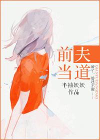 前夫当道简介
