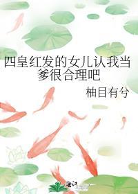 四皇红发传