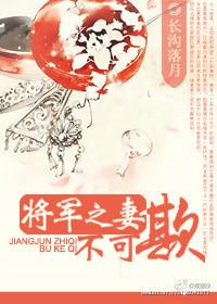 将军之妻不可欺好看吗